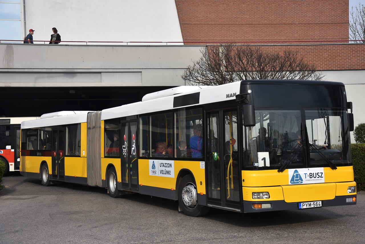 Az MAN A23 NG313 típusú csuklós autóbuszokkal a magyarországi közforgalmú városi járatokon csak Tatabányán találkozhatunk (a képre kattintva galéria nyílik a szerző képeiből)
