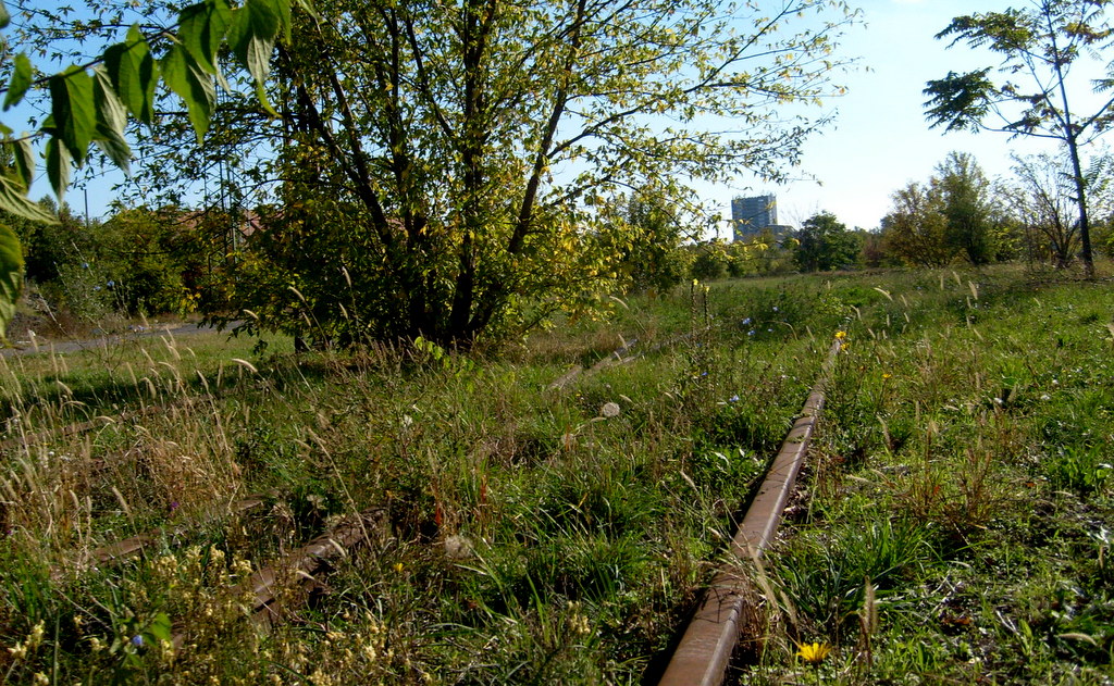 Ezeken a síneken valamikor vonatok kerekei zakatoltak.