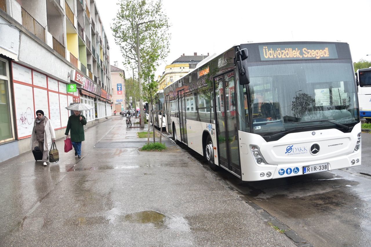 Szegeden tizenegy autóbusz munkához látott április utolsó hetében (illusztráció: Szabó Luca/szeged.hu)