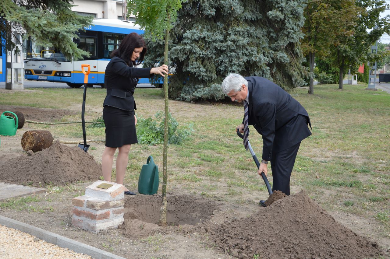 Nagy Attila, a DKV vezérigazgatója is ültetett egy fát néhai kollégái tiszteletére