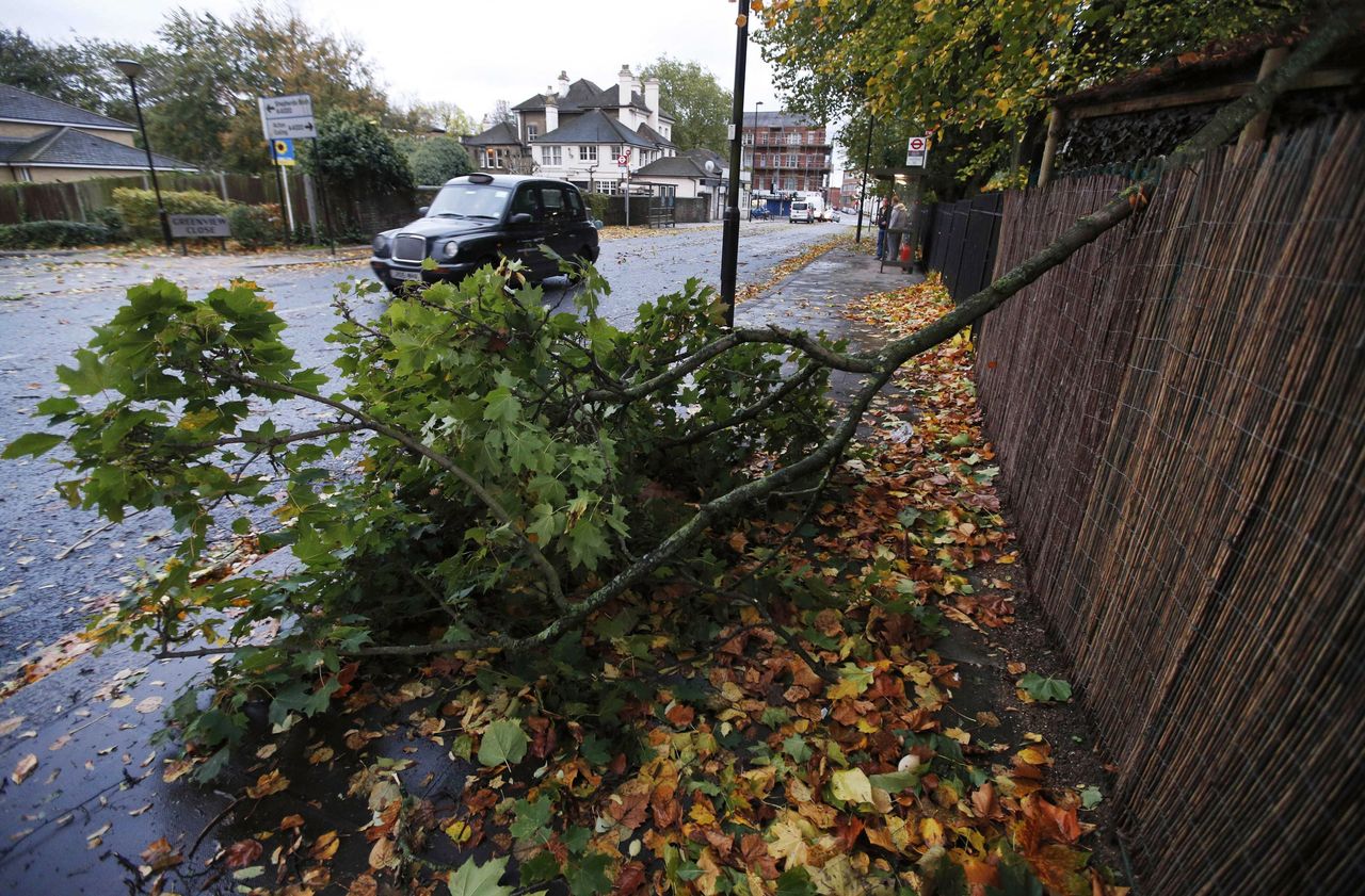 Letört faág Londonban: a fővárost is elérte a hurrikánerejű szél fúj, amely Nagy-Britannia déli részén söpört végig. A képre kattintva galéria nyílik. (fotó: MTI/AP/Lefterisz Pitarakisz)