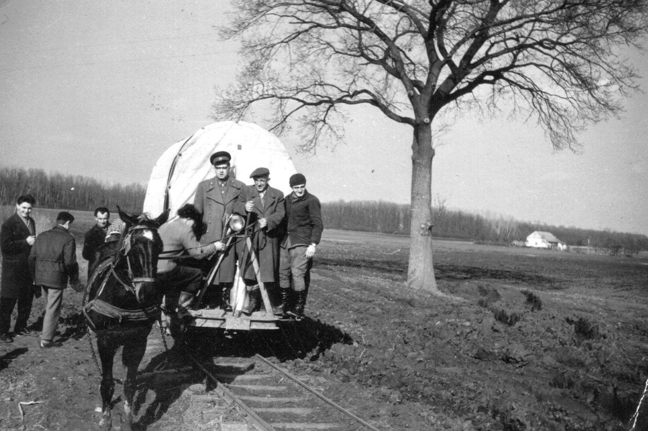 Az utolsó vonat az AEGV vésztői vonalából kiágazó fáspusztai szárnyvonalon 1963 tavaszán. A képre kattintva galéria nyílik (fotó: Indóház-archív | a szerző gyűjteményéből)