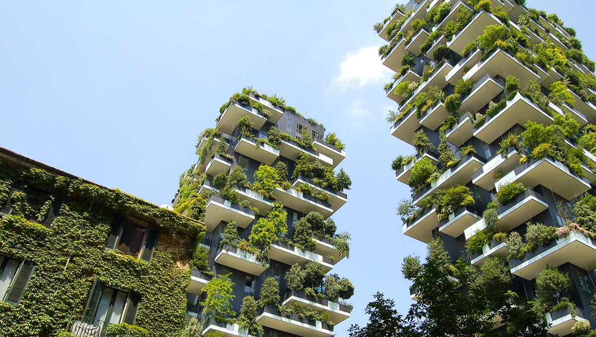 Zöldfelület-teremtés a városban<br>(forrás: theagilityeffect.com)