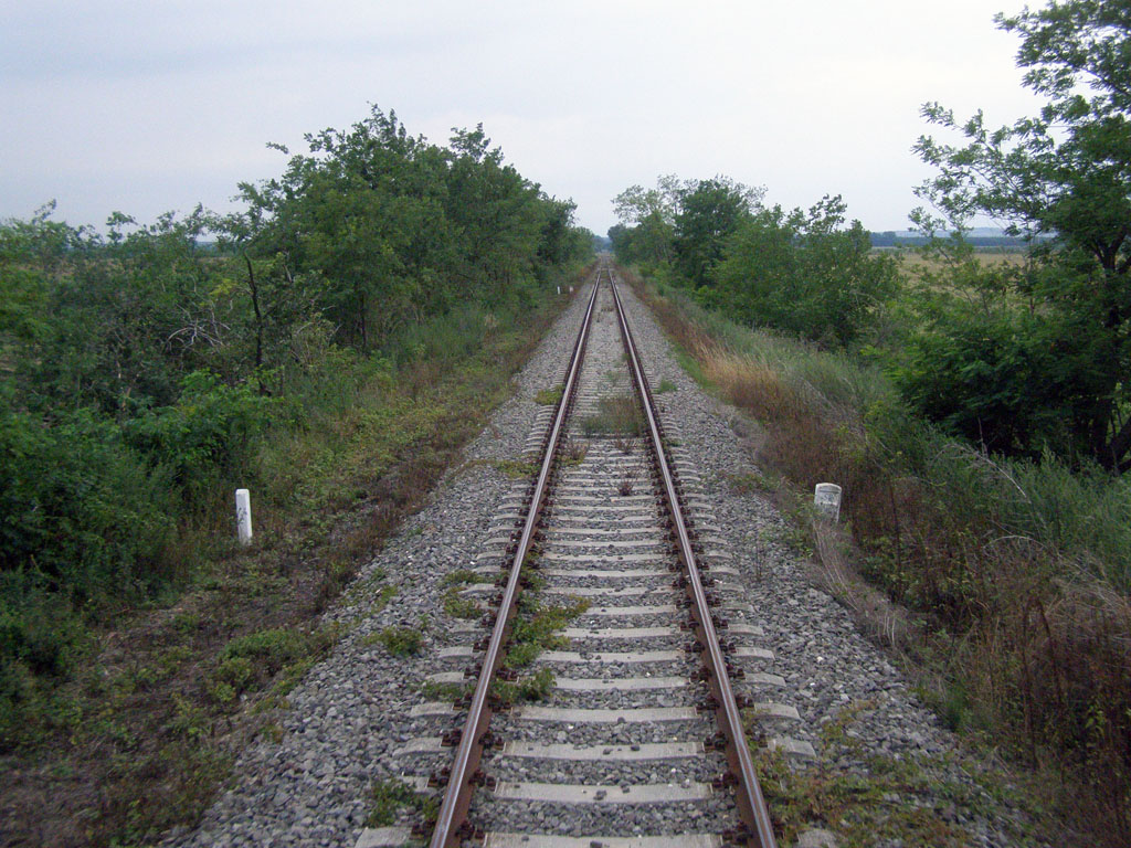 A vonalra Székesfehérvár állomás átépítésekor is komoly szerep várhat