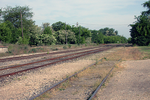 DSCN1564