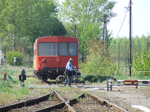 07