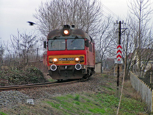 20091212_PICT3963