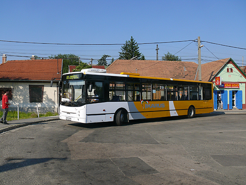 p-02952_20100608_22_budakeszi_02