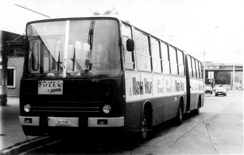 Az 55-ös egészen a Népligetig közlekedett, a mai 1-es villamos vonalán. A járat a Hungária körúti villamos folyamatos épülésével együtt rövidült le. Végül a tuják 1993-ban érték el a Kerepesi utat, ekkor a busz végleg megszűnt. A képen egy 55-ös busz a 75-ös troli végállomásául is szolgáló népligeti megállóban várakozik
