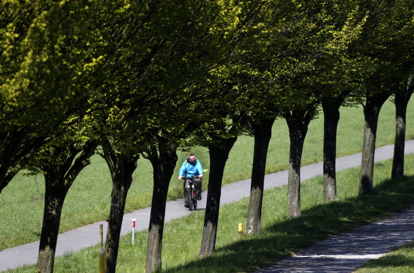 Kerékpárút a Dortmund és Ems közötti csatorna mentén