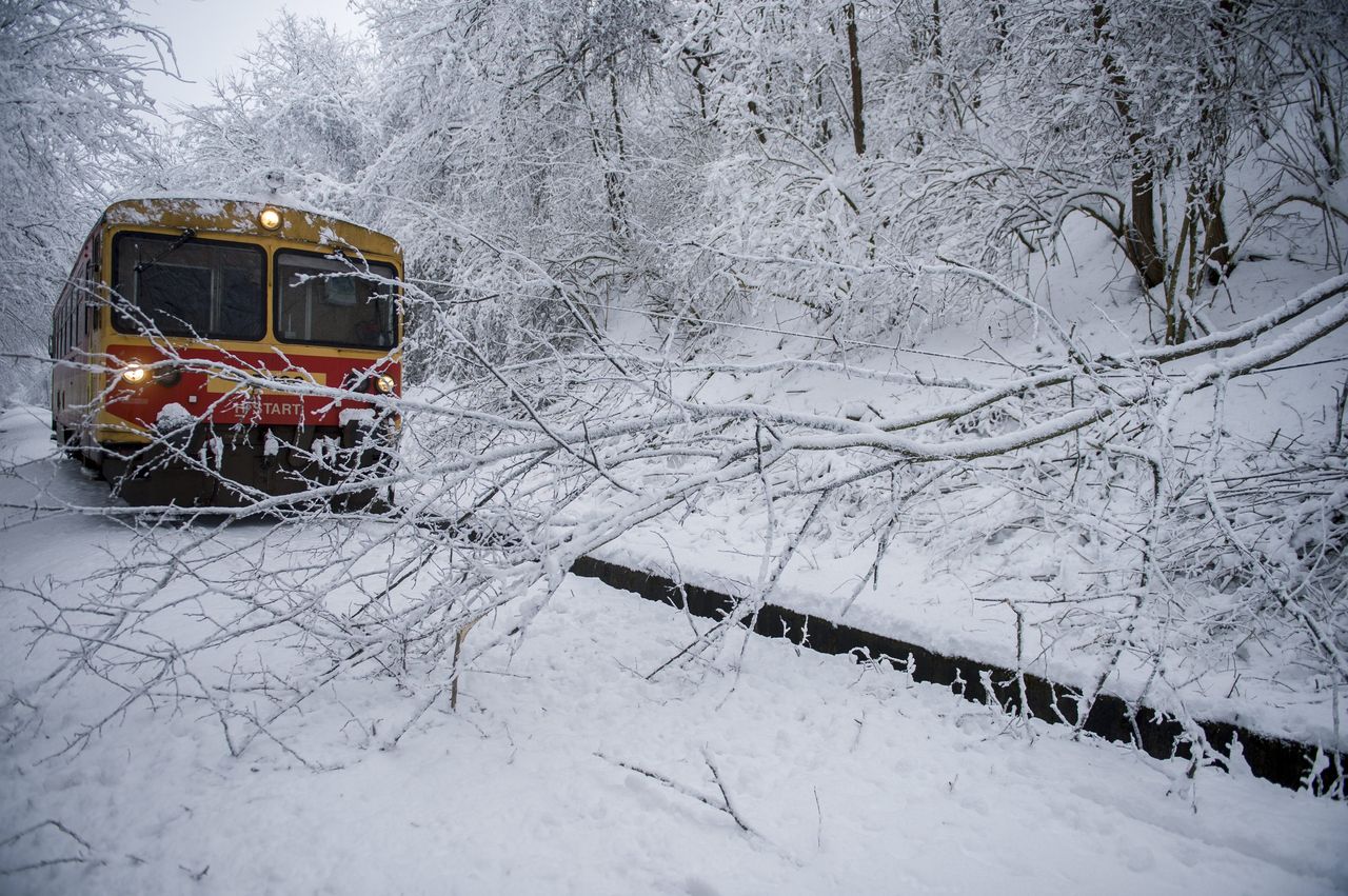 Délelőtt még nehéz volt sok felé az országban: Márok település közelében, a Villány-Bóly vasútvonalon (fotó: MTI/Sóki Tamás)