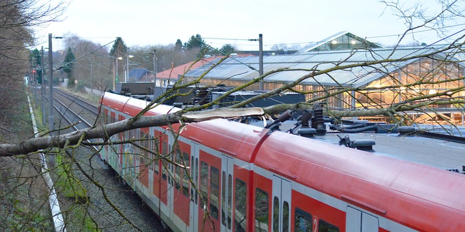 Hennef: S-Bahn szerelvényére dőlt fa