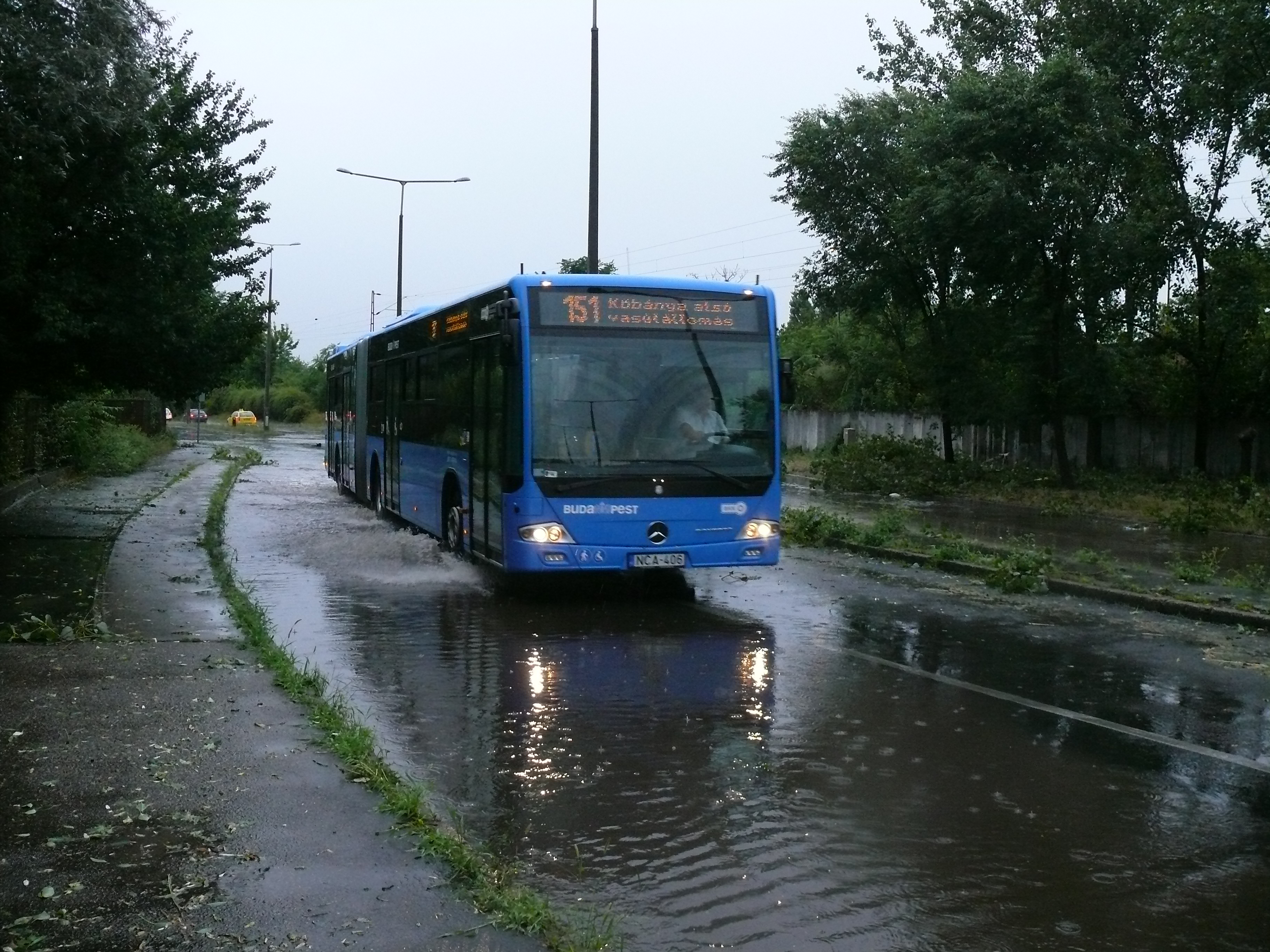 A kétéltű 151-es busz<br>(fotó: Kemsei Zoltán)