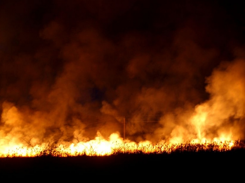 Nádastűz Pomáz határában: a lángok elérték a magasfeszültségű távvezetéket