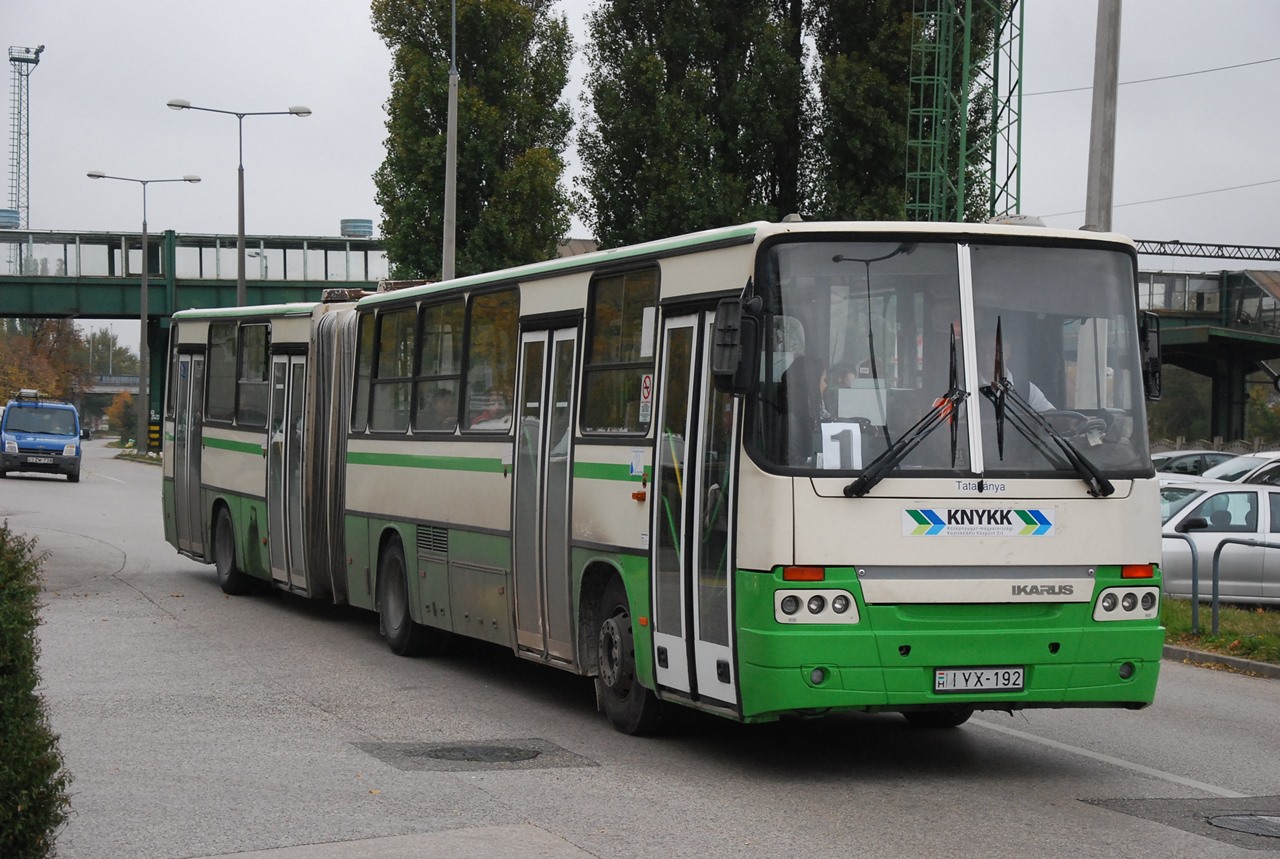 Az egyik tatabányai buszkülönlegesség az Ikarus 400-as ajtókkal szerelt C83. A testvérét rossz állapota miatt idén selejtezték (fotók: Bohus Dávid)