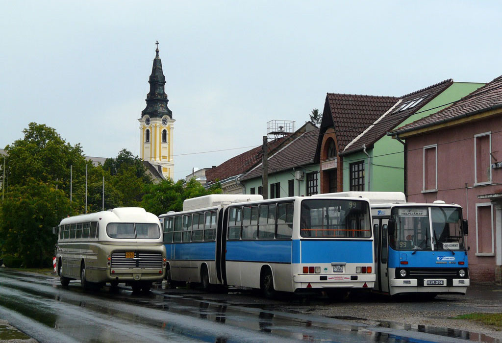 Mintegy nyolc órával az indulás után újra Szegeden kötött ki a faros csapata. A kiskundorozsmai helyijárati autóbuszok fotózása volt a következő feladat. A templomhoz közeli tárolón most a cég első három CNG üzemű autóbuszából kettő (ELM-395, ELR-401) volt ott. Ezzel a mai nap során már a második lehetőséget láttuk az alternatív meghajtású autóbuszok üzemeltetésére. Ezen felül az exsínbusz BOS-770-est is lehetőség volt fotózni. Ez a jármű tavaly a felújítását követően immár bolygóajtókkal és frissen festve érkezett a műhelyből. Jelenleg az egyetlen helyijáratos botváltós autóbusz a városban