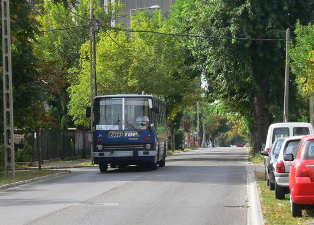 A busz az Istvántelki úton, még a rendes útvonalán<br>A képre kattintva a terelt 121-es buszról készült galériánkat tekinthetik meg.