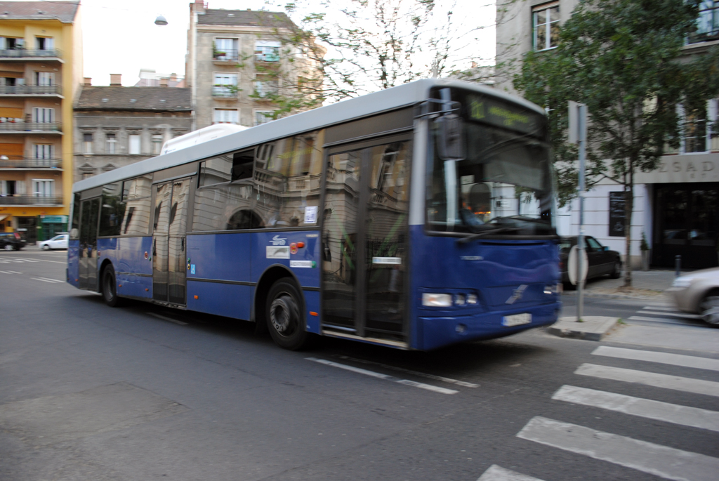 A veszélyes buszok szinte bárhol előfordulhatnak a városban<br>(fotó: Majrovits Csilla)