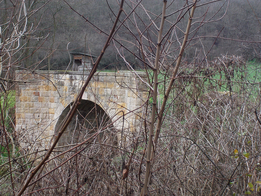 Lombhullás után az országútról is látható a híd<br>(fotók: Zöldi Adorján)