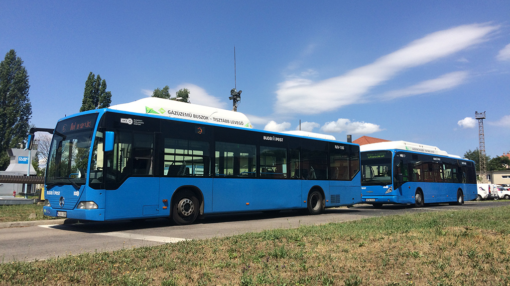 A BKV-nál jelenleg hetvenegy CNG üzemű busz van állományban, ezekből negyvenkilenc Van Hool, huszonkét Mercedes gyártmány