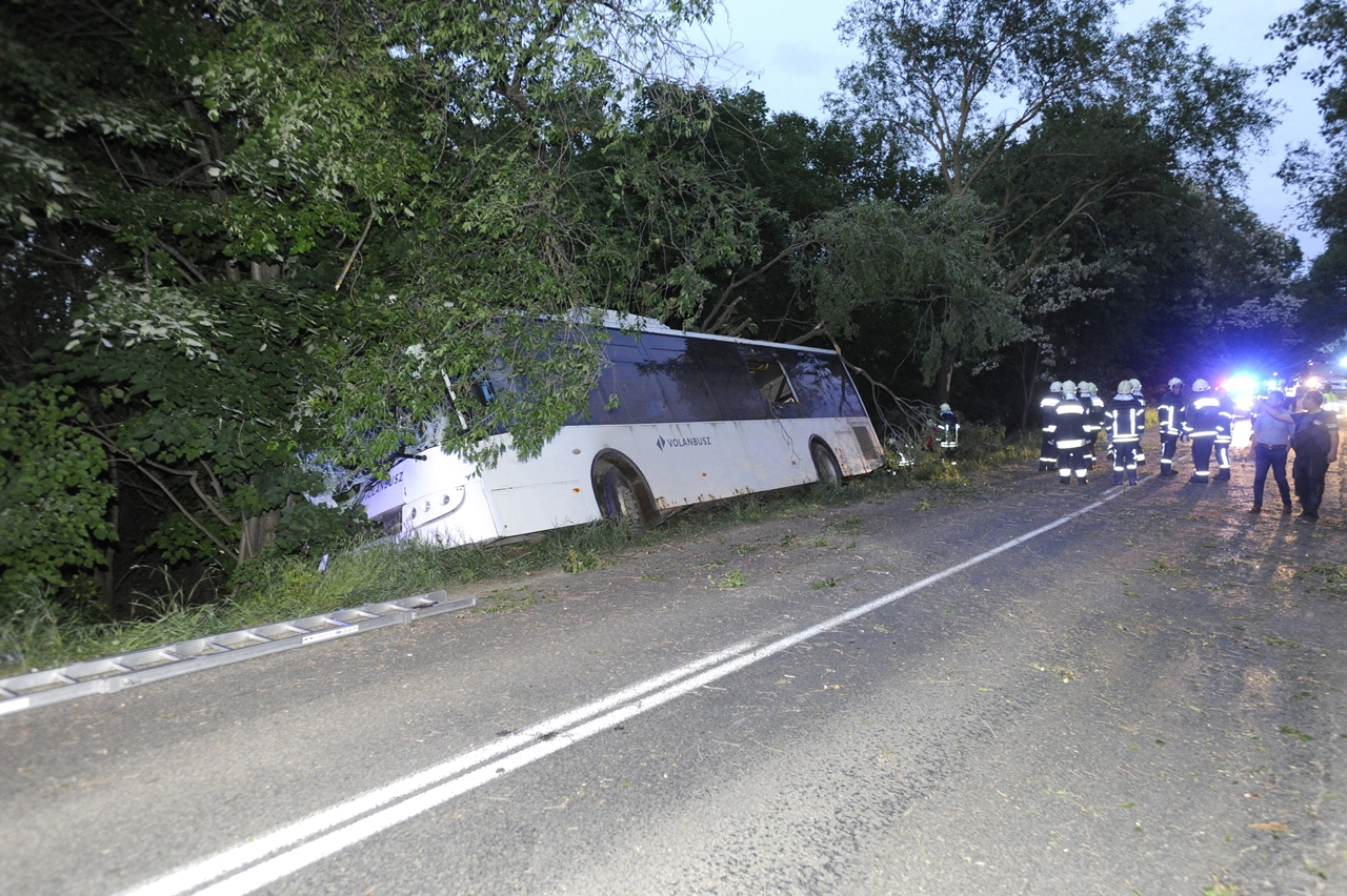 Fákat letarolva állt meg a Volánbusz egyik King Longja Zsámbék és Páty között szerda este. A balesetben tizenegyen sérültek meg (fotók: MTI/Mihádák Zoltán)