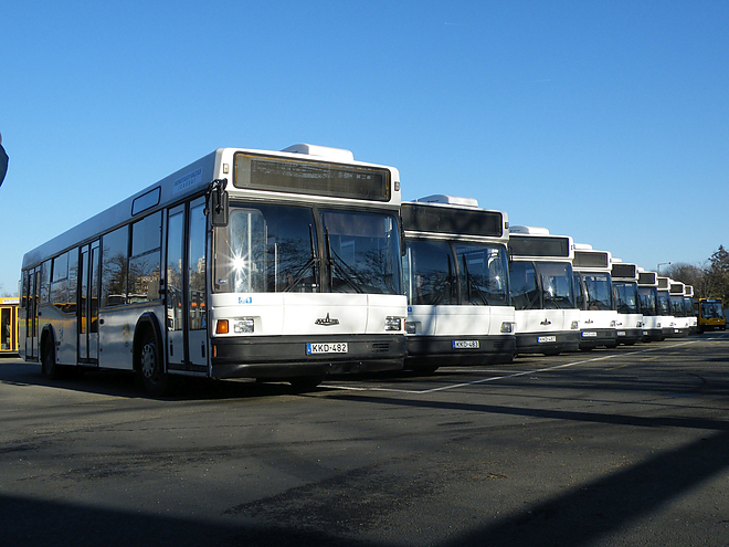 Debrecenből pedig kilenc alacsonypadlós MAZ-busz kerül át Nyíregyházára, nyugdíjazva az elavult, magaspadlós Ikarus 260-asokat