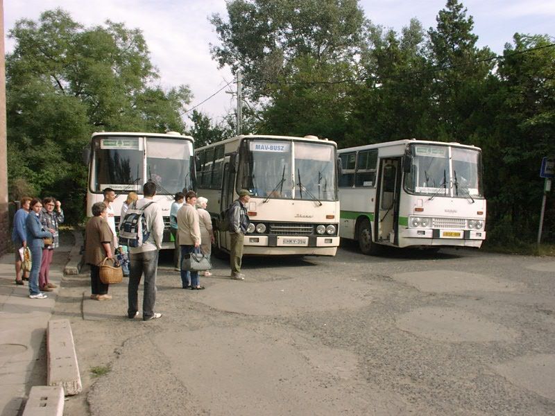Pincehelyen jól megférnek egymás mellett a MÁV- és a Volán-buszok