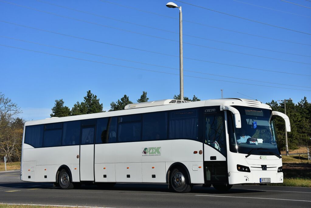 A DDKK nyolc autóbusszal Gödöllő térségébe költözik egy ideig (illusztráció: Bohus Dávid)