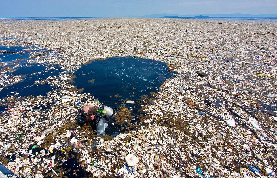 Főleg PET-palackokból álló műanyaghulladék-szigetet viszgál egy kutató<br>(forrás: dailymail.co.uk) 