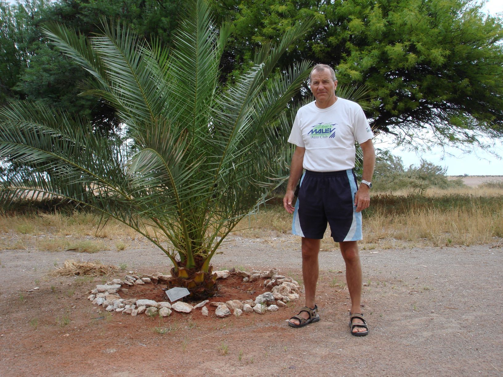 Hegedűs László, alias Bagoly, a világrekordja tiszteletére ültetett pálmával Namíbiában