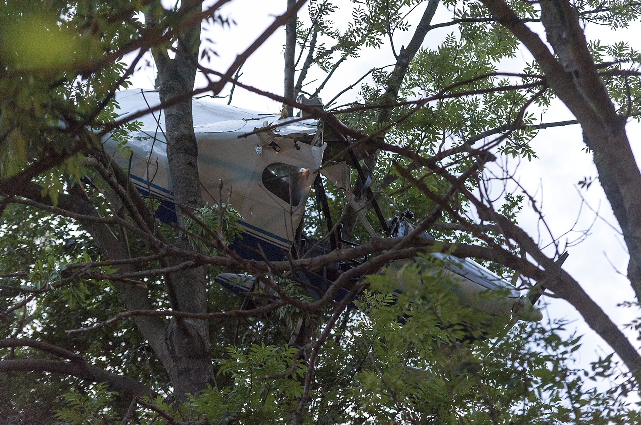 A Tecnam felszállás közben egy fán akadt fenn Zirc határában (fotó: MTI/Krizsán Csaba)