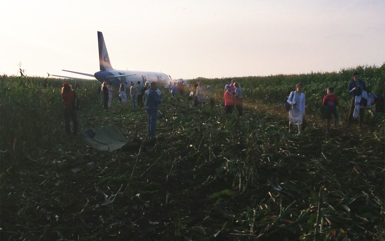 Egy kukoricásban, behúzott futókkal hajtott végre sikeres kényszerleszállást egy utasszállító Moszkva mellett, miután madárrajjal ütközött és mindkét hajtómű leállt (kép forrása: Twitter, Breaking Aviation News)