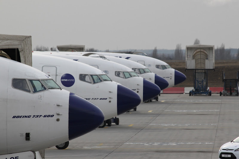 Kékorrúak, sorakozó – végleges kirepülésre február 3-án <br>(fotó: Budapest Airport)