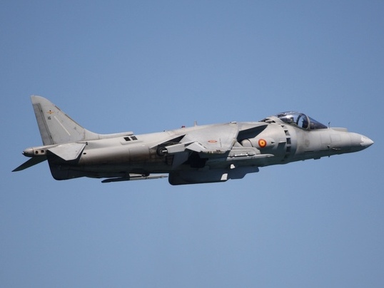 Spanyol Harrier, a Matador