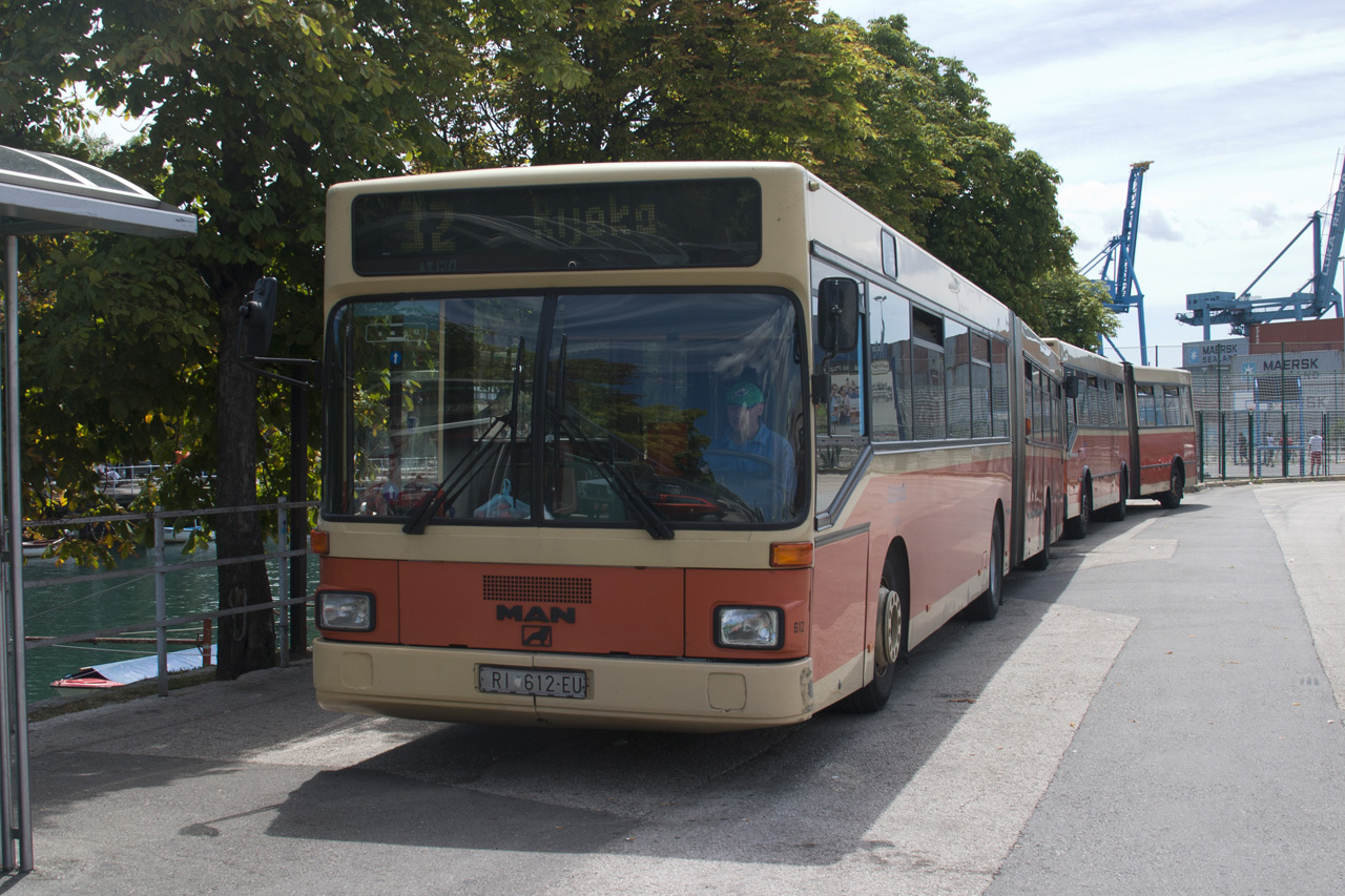Tolócsuklós MAN buszok is közlekednek, amelyek padlószintje láthatóan alacsonyabb, mint a régebbi buszoké<br>(A külön nem jelölt képeket a szerző készítette)