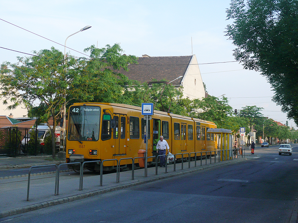 A 42-es villamos jelenlegi, Tulipán utcai végállomásán <br>(fotó: Kemsei Zoltán)