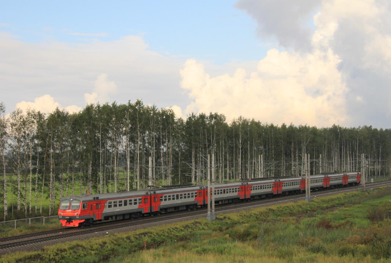 ED4m elővárosi villamos motorvonat „korporatív színekben” a Pargolovo–Levasovo állomásközben, 2011-ben <br> (a szerző felvételei)