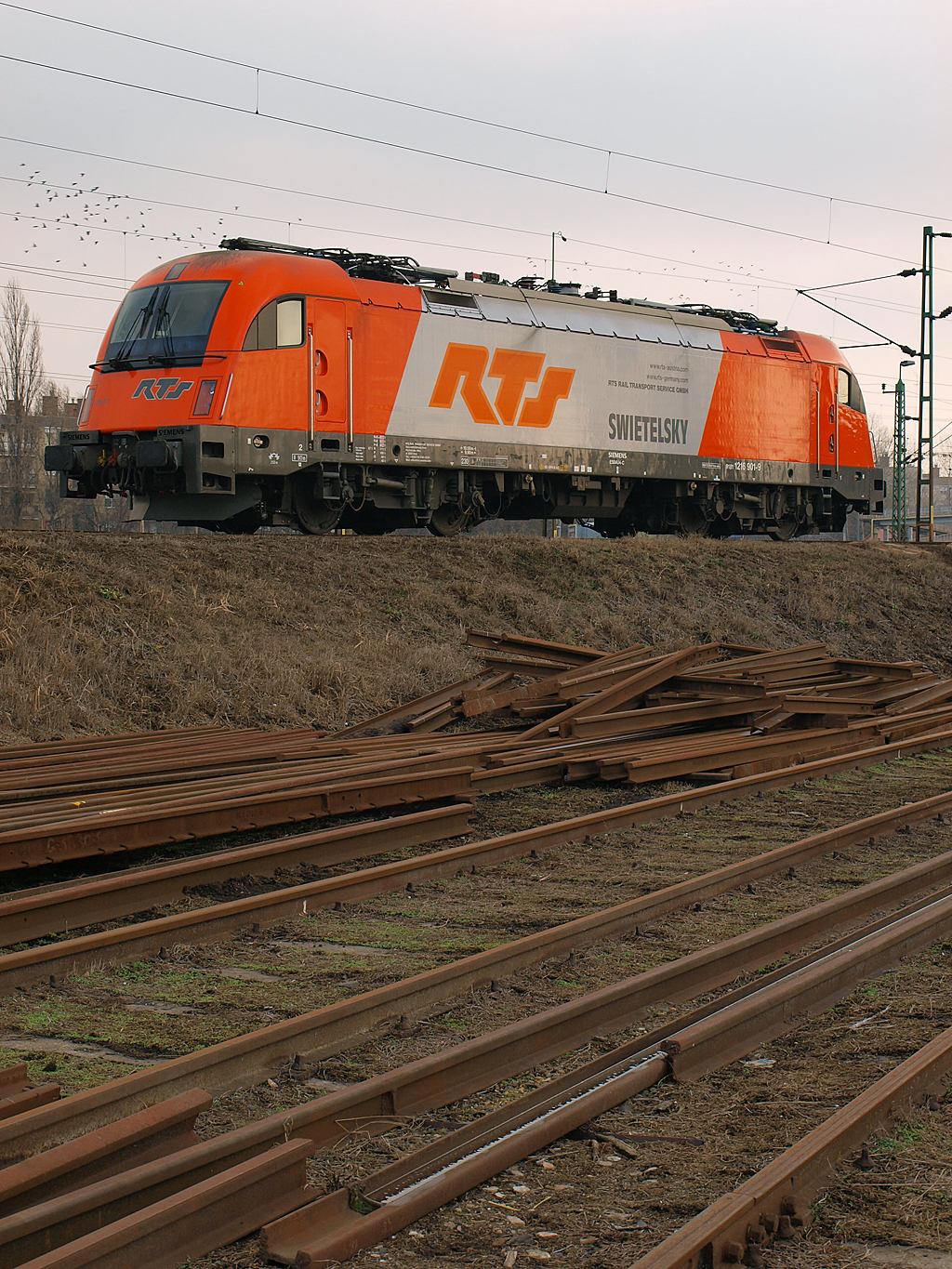 Magányos RTS-mozdony Békéscsabán, 2012. január 12-én<br>A képre kattintva fotógaléria nyílik<br>(Orvos Pál felvételei)