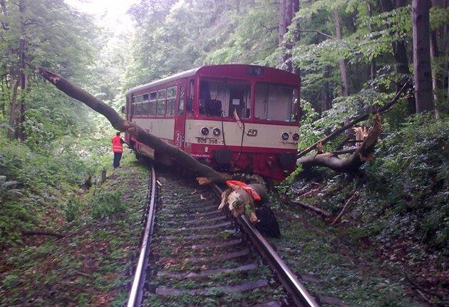 Több mellékvonalon szünetelt a vasúti közlekedés a pályára dőlt fák miatt<br>(forrás: Facebook/České dráhy - Omezení provozu)