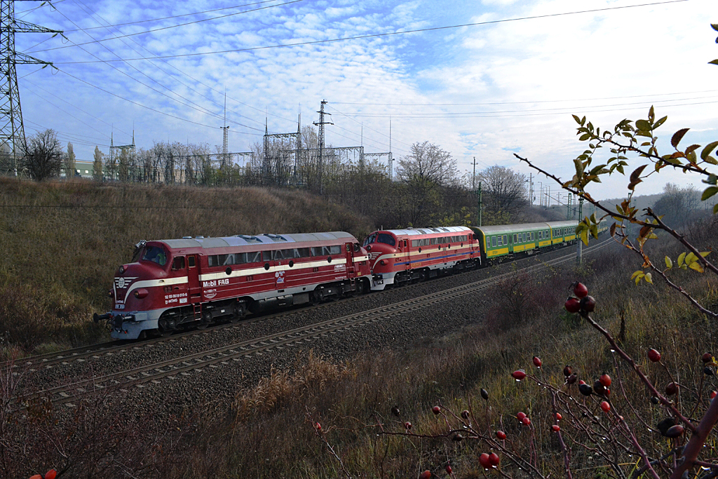 Indulás a Keletiből egy, a vonat színeihez igan jól passzoló csipkebokorral az előtérben<br>A képre kattintva galéria nyílik<br>(Kadocsa Gyula felvétele)