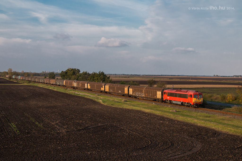 Orosháza és Kardoskút között cammog a Csörgő méretes vonatával<br>A képre kattintva galéria nyílik<br>(fotók: Vörös Attila)