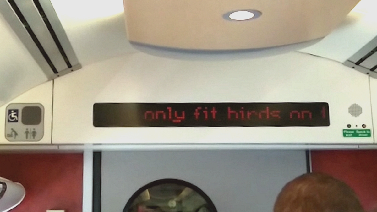 Only fit birds on this train – csak csini csajok utazhatnak ezen a vonaton! (forrás: SWNS)