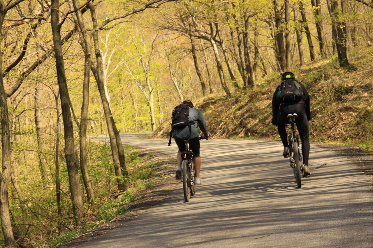 Háromszázötven kilométeresre nőtt a Pilis Bike erdei kerékpárút-hálózat, ráadául már vasúton is elérhető (kép forrása: Magyar Építők)