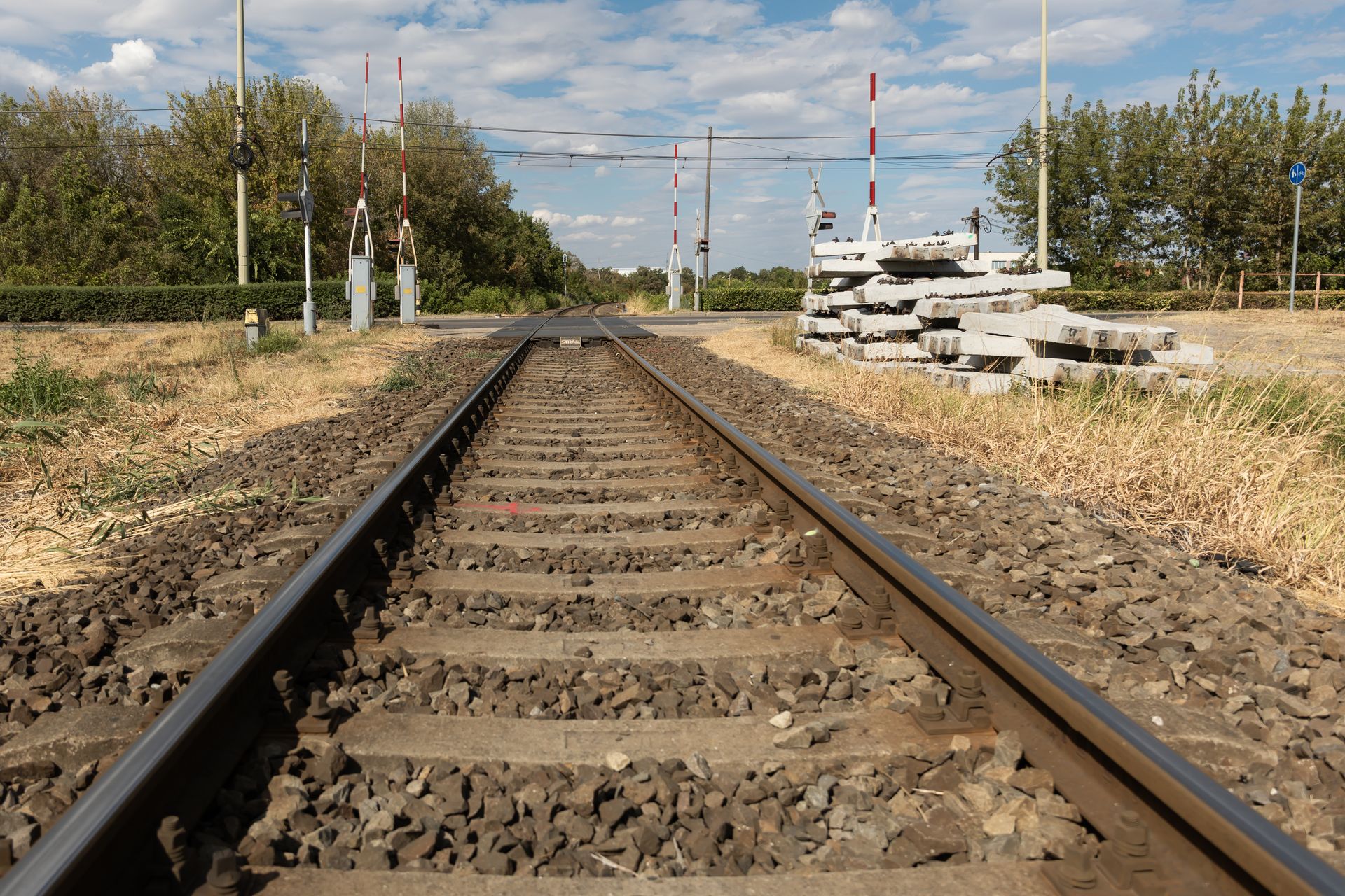(fotók: Szeged.hu/Tari Róbert)