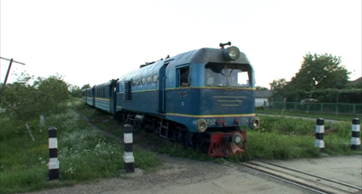 borzsa2_400