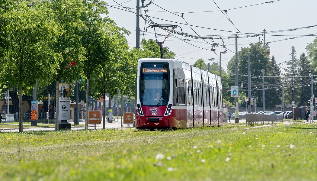 01_becs_participacio