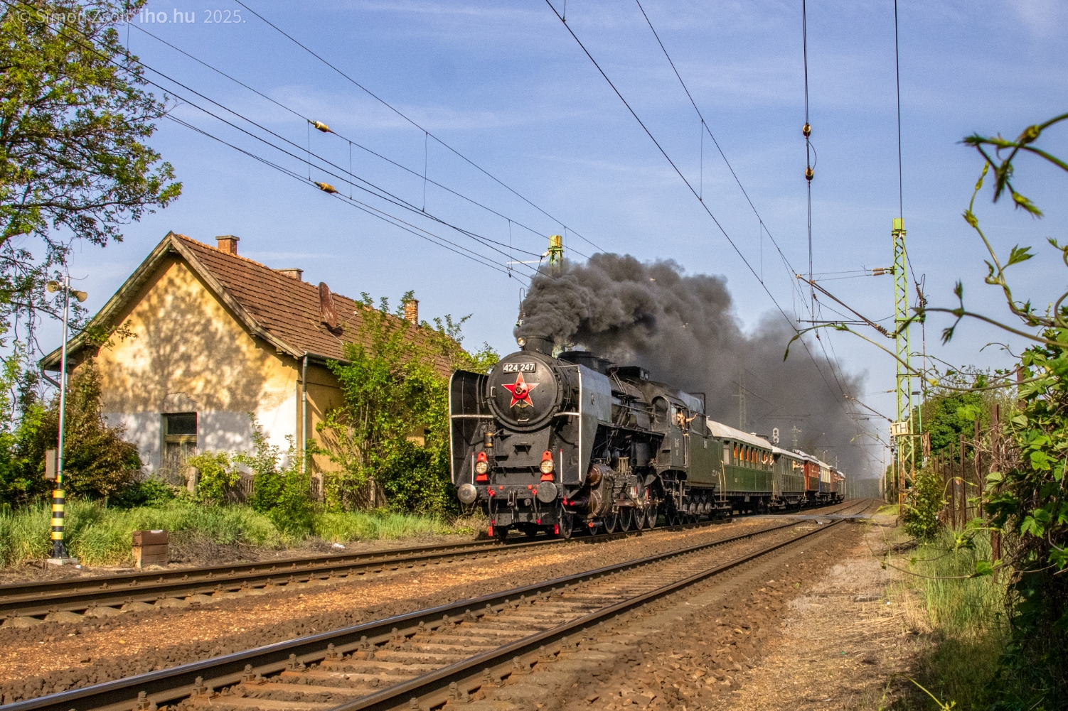 IMG_9965(1)