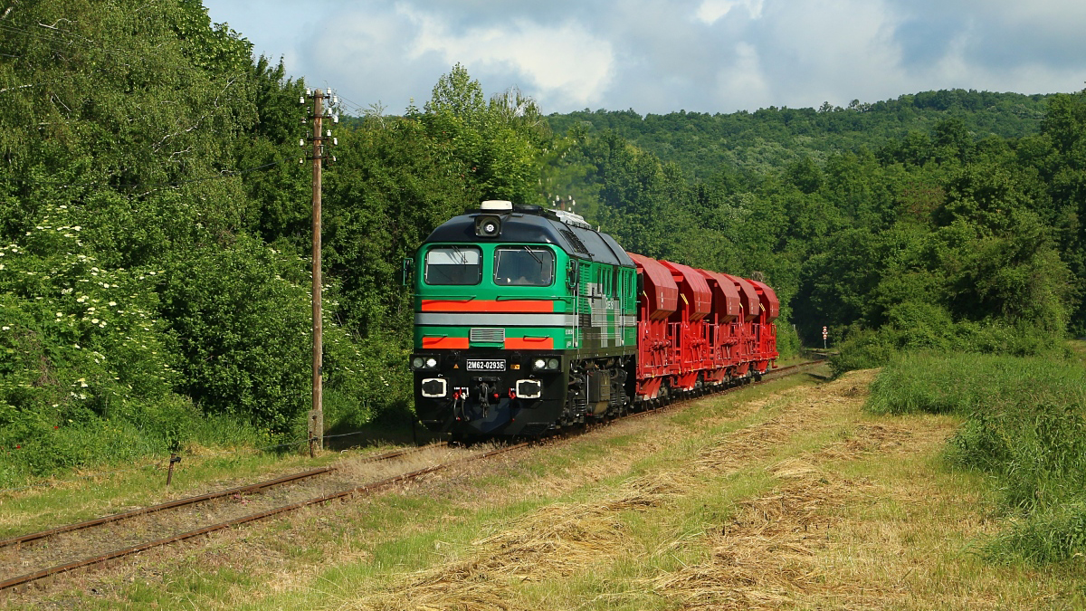 02_skinest_rail