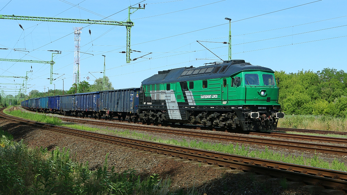 01_skinest_rail