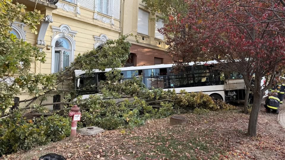 _busz_gimi_